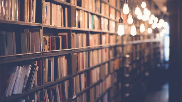 Rows of books on shelves in a library archive